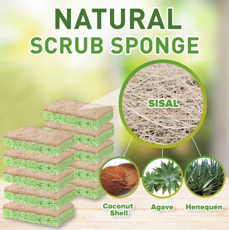 SCRUBIT Natural Sponges - 10 Pack Biodegradable Compostable Cellulose and Coconut Natural Sponges for Dishes, Eco Friendly Non Toxic Kitchen Sponge - Image 2